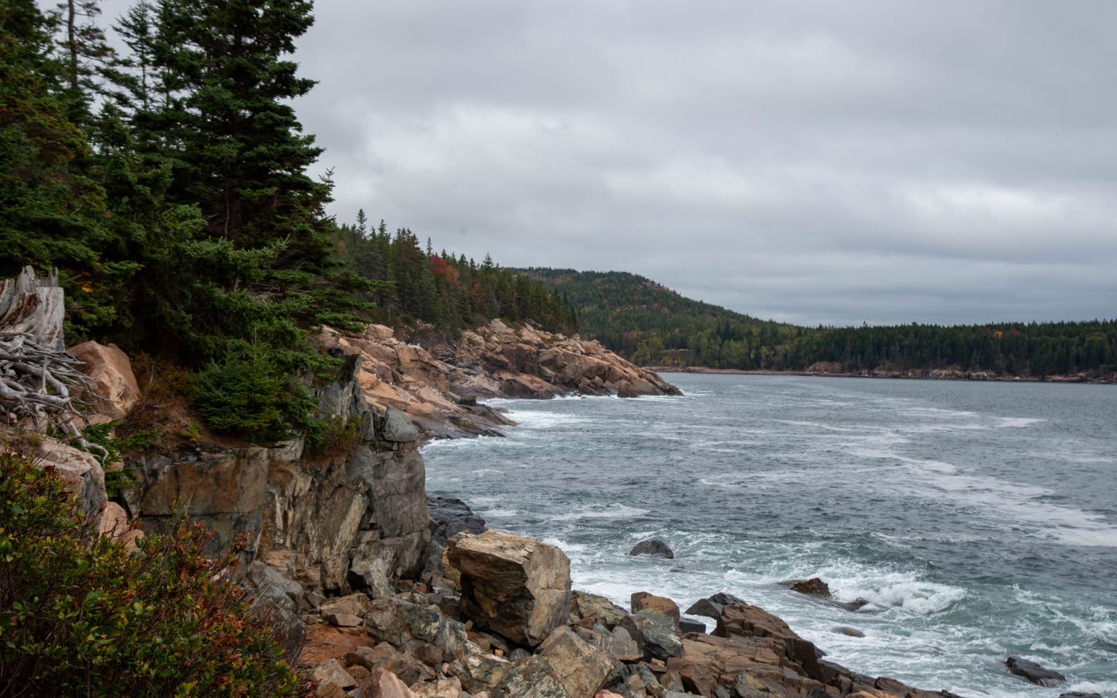The rocky autumn coastline of Acadia National Park, Maine