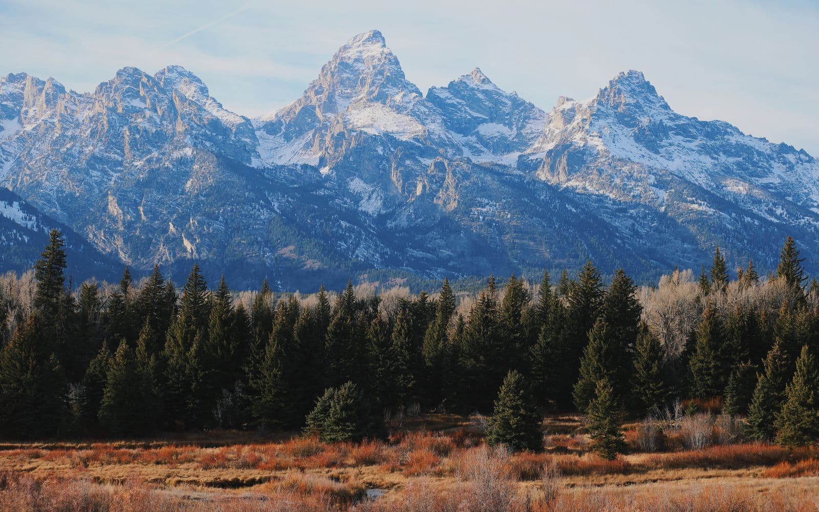 The jagged Grand Teton range rising above evergreen forest