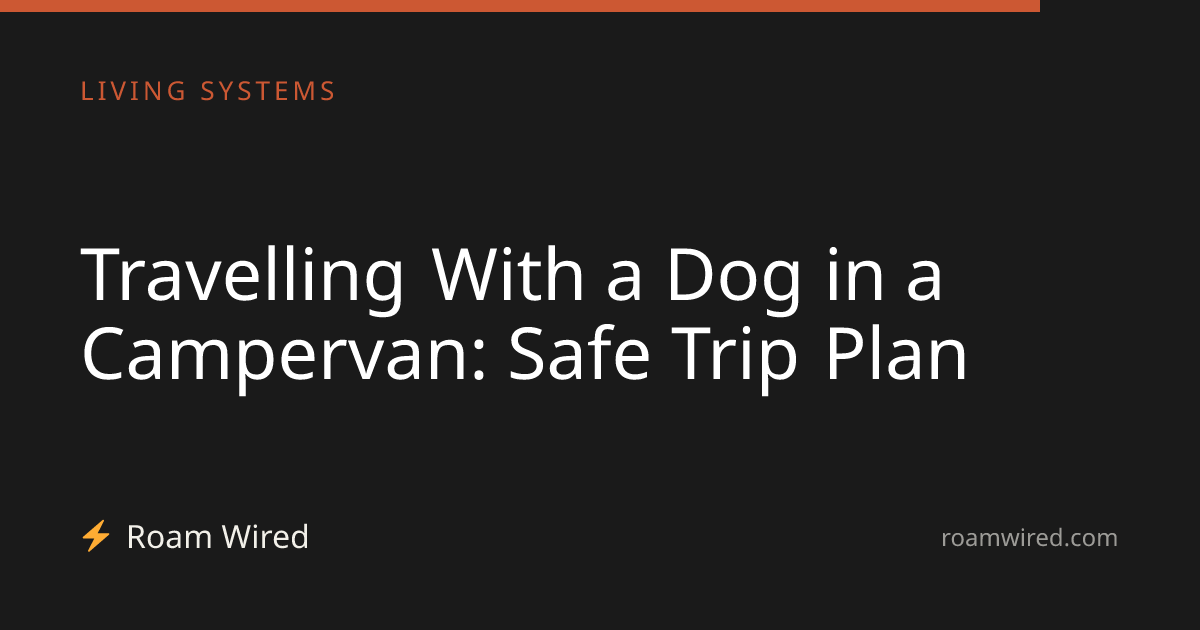 Travelling With a Dog in a Campervan: Safe Trip Plan