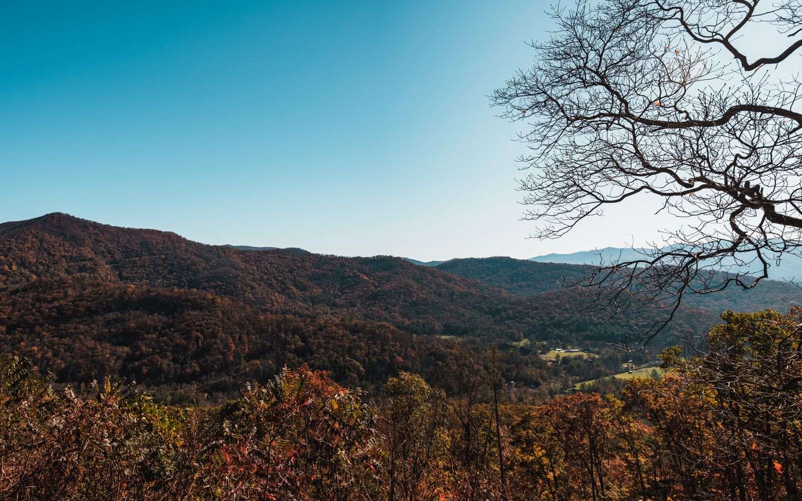 Autumn colour across the Blue Ridge Mountains near Asheville