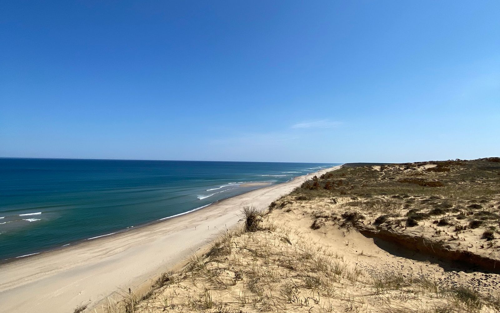 A sandy Cape Cod beach on a clear summer day