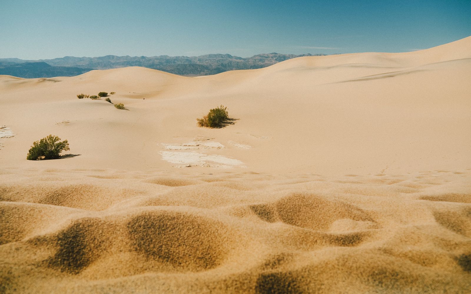 Golden sand dunes under blue sky in Death Valley National Park