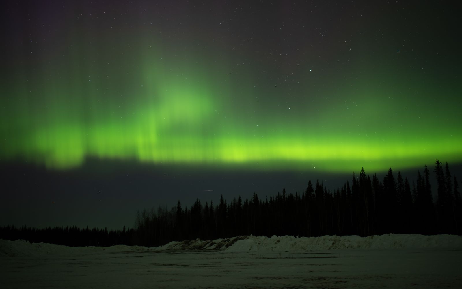 The northern lights over a snowy forest near Fairbanks, Alaska