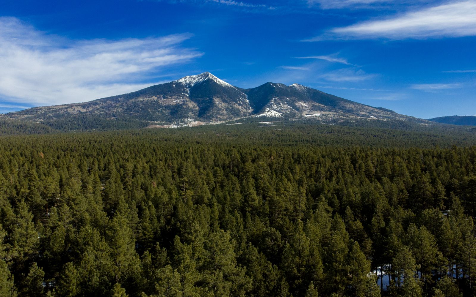 The San Francisco Peaks above forest near Flagstaff, Arizona