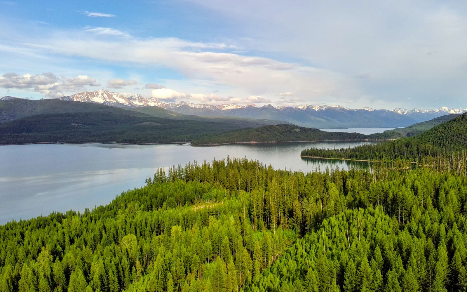 A forested lake and mountains near Kalispell, Montana