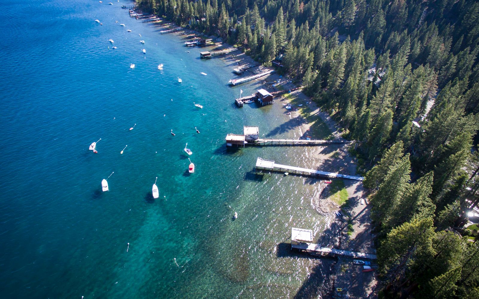 The forested shore of Lake Tahoe in summer