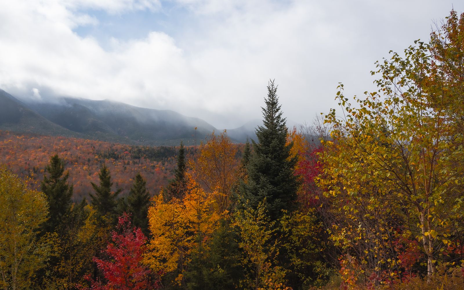 Fall colour in the White Mountains, New Hampshire