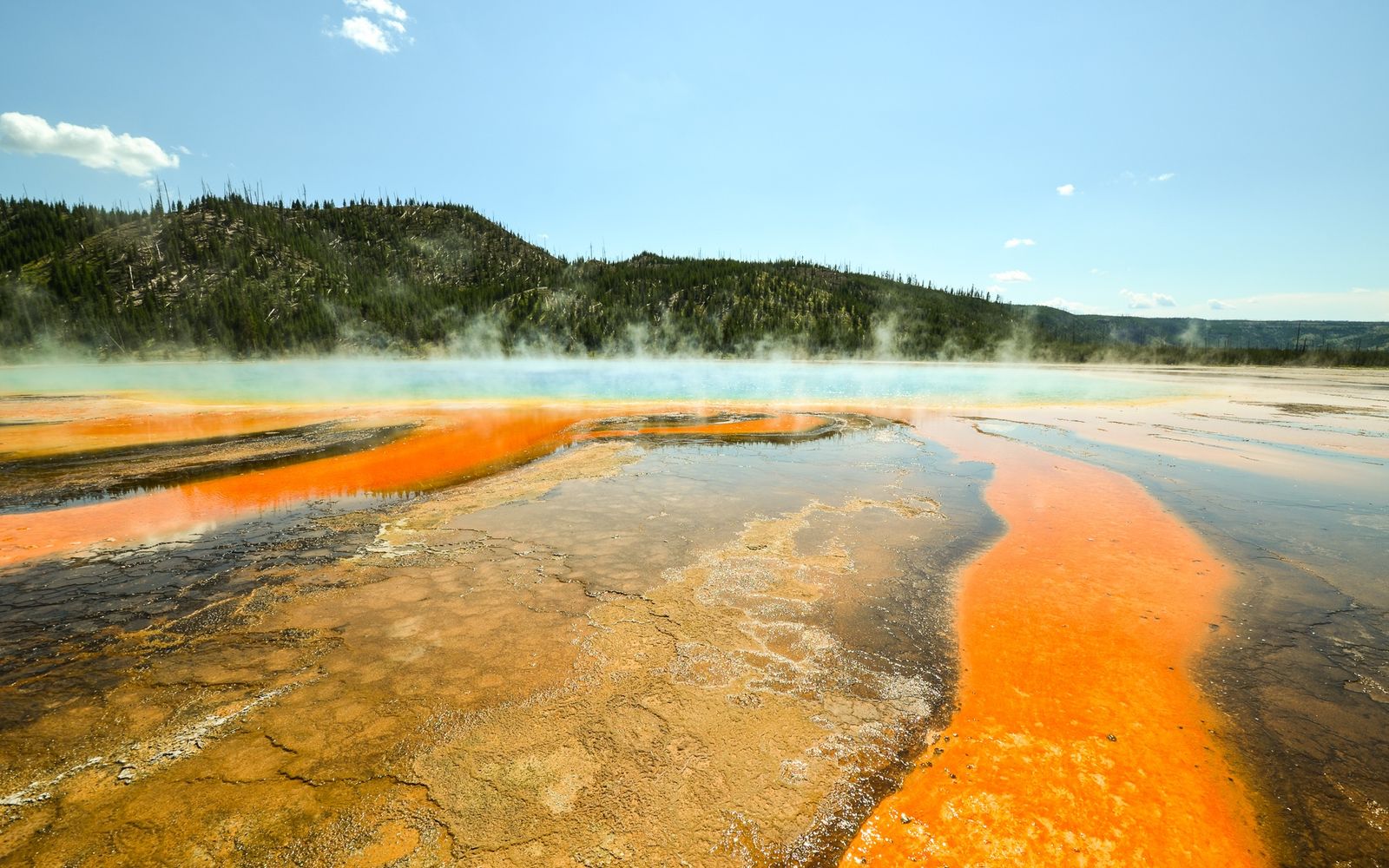 The vivid colours of the Grand Prismatic Spring, Yellowstone