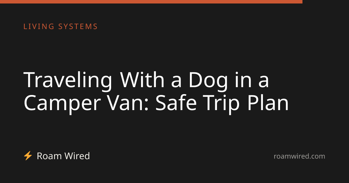 Traveling With a Dog in a Camper Van: Safe Trip Plan